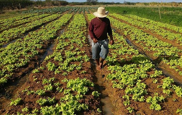  Secretaria de Agricultura de Glória comunica que o pagamento dos boletos do Garantia Safra 2021/2022 foi prorrogado até dia 05/05