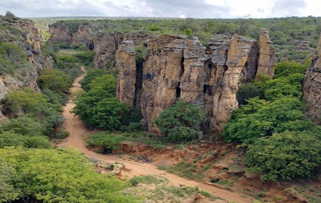  Raso da Catarina pode se transformar em patrimônio natural da humanidade