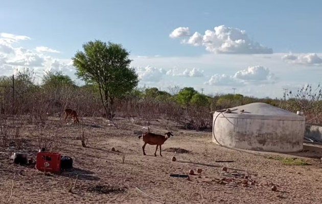  Como recente descoberta de clima árido na Bahia impacta  restante do país