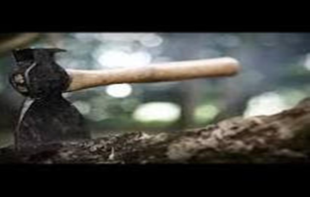  O menino e os quadros