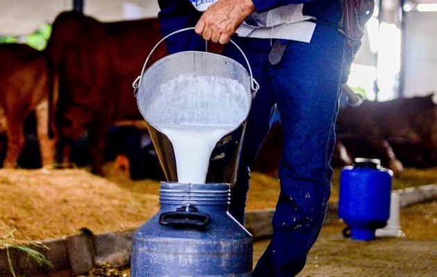  2º Torneio Leiteiro de Paulo Afonso destaca força da produção rural no Sítio do Tará