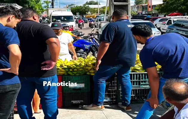  Organização e acessibilidade na Feira Livre de Paulo Afonso