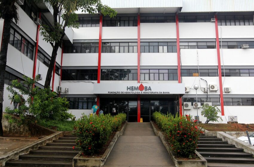  Hemoba anuncia processo seletivo REDA para 199 vagas e cadastro de reserva