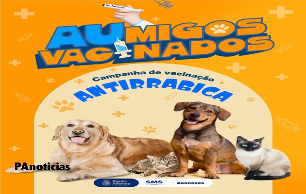  Campanha de vacinação antirrábica 2025 na área rural começa na próxima segunda-feira (11/08). Confira a programação