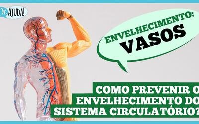  Envelhecimento dos vasos sanguíneos: entenda e cuide-se
