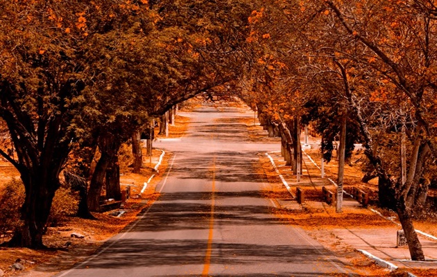  Entre luzes e sombras