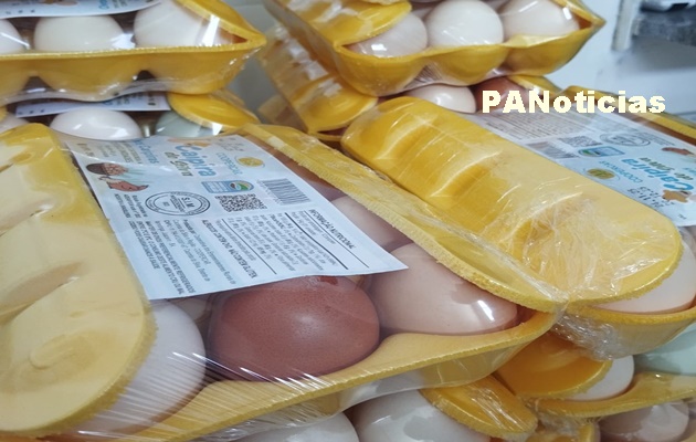  Municípios do Sertão do São Francisco alinham ações para ampliar a produção de ovos