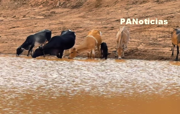  Após a limpeza, a barragem do povoado Várzea está abastecida de água