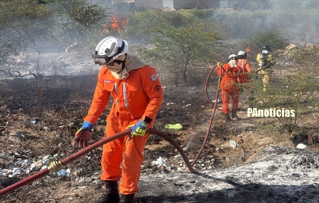  15º BBM atende ocorrência de incêndio em vegetação no Bairro Abel Barbosa em Paulo Afonso