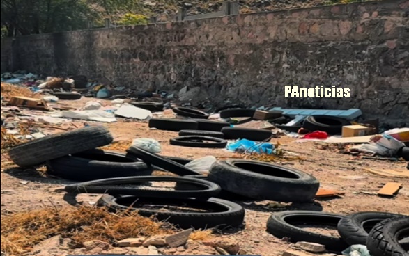  SEMMA realiza Audiência Pública de lançamento do Projeto Piloto de implantação de Coleta Seletiva no município