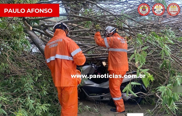  15º BBM segue atuando em ocorrências de quedas de árvores provocadas por chuvas e ventos fortes em Paulo Afonso