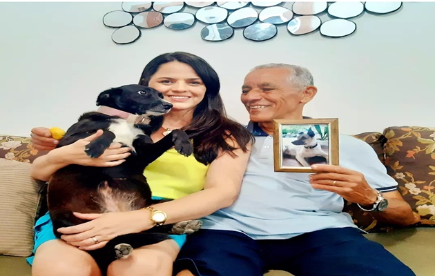  Xananas em flor, presente dos céus