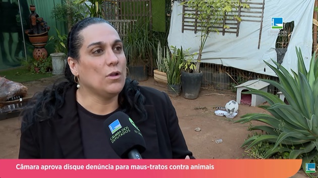  Câmara aprova disque denúncia para maus-tratos contra animais